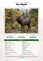 Vorschau - Arbeitsblätter - Wapiti Steckbrief – Lesetext, Lückentext, Weltkarte & Arbeitsblatt - Deckblatt