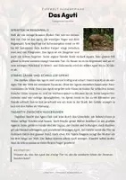 Vorschau - Arbeitsblätter - Aguti Steckbrief – Lesetext, Lückentext, Weltkarte & Arbeitsblatt - Seite 1