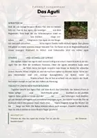 Vorschau - Arbeitsblätter - Aguti Steckbrief – Lesetext, Lückentext, Weltkarte & Arbeitsblatt - Seite 2