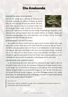 Vorschau - Arbeitsblätter - Anakonda Steckbrief – Lesetext, Lückentext, Weltkarte & Arbeitsblatt - Seite 1
