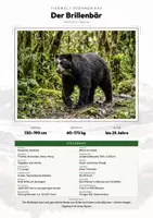 Vorschau - Arbeitsblätter - Brillenbär Steckbrief – Lesetext, Lückentext, Weltkarte & Arbeitsblatt - Deckblatt
