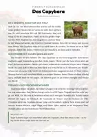 Vorschau - Arbeitsblätter - Capybara Steckbrief – Lesetext, Lückentext, Weltkarte & Arbeitsblatt - Seite 1