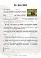 Vorschau - Arbeitsblätter - Capybara Steckbrief – Lesetext, Lückentext, Weltkarte & Arbeitsblatt - Seite 2