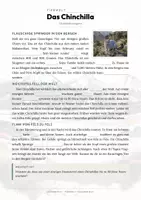 Vorschau - Arbeitsblätter - Chinchilla Steckbrief – Lesetext, Lückentext, Weltkarte & Arbeitsblatt - Seite 2