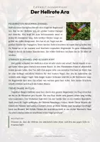 Vorschau - Arbeitsblätter - Hellroter Ara Steckbrief – Lesetext, Lückentext, Weltkarte & Arbeitsblatt - Seite 1