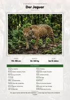 Vorschau - Arbeitsblätter - Jaguar Steckbrief – Lesetext, Lückentext, Weltkarte & Arbeitsblatt - Deckblatt