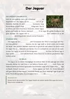 Vorschau - Arbeitsblätter - Jaguar Steckbrief – Lesetext, Lückentext, Weltkarte & Arbeitsblatt - Seite 2