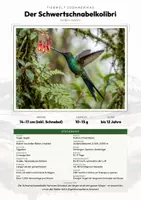 Vorschau - Arbeitsblätter - Tiere Ecuador – 9 Steckbriefe – Sachunterricht Grundschule – Materialpaket - Deckblatt