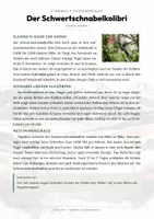Vorschau - Arbeitsblätter - Tiere Ecuador – 9 Steckbriefe – Sachunterricht Grundschule – Materialpaket - Seite 1