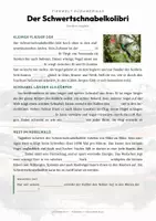 Vorschau - Arbeitsblätter - Tiere Ecuador – 9 Steckbriefe – Sachunterricht Grundschule – Materialpaket - Seite 2