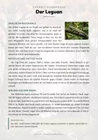 Vorschau - Arbeitsblätter - Leguan Steckbrief – Lesetext, Lückentext, Weltkarte & Arbeitsblatt - Seite 1