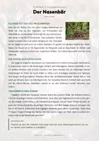 Vorschau - Arbeitsblätter - Nasenbär Steckbrief – Lesetext, Lückentext, Weltkarte & Arbeitsblatt - Seite 1