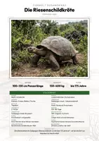 Vorschau - Arbeitsblätter - Reptilien der Welt – 30 Tier-Steckbriefe – Sachunterricht Grundschule – Materialpaket - Deckblatt