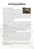 Vorschau - Arbeitsblätter - Reptilien der Welt – 30 Tier-Steckbriefe – Sachunterricht Grundschule – Materialpaket - Seite 1