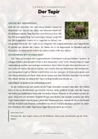 Vorschau - Arbeitsblätter - Tapir Steckbrief – Lesetext, Lückentext, Weltkarte & Arbeitsblatt - Seite 1