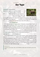 Vorschau - Arbeitsblätter - Tapir Steckbrief – Lesetext, Lückentext, Weltkarte & Arbeitsblatt - Seite 2