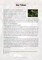 Vorschau - Arbeitsblätter - Tukan Steckbrief – Lesetext, Lückentext, Weltkarte & Arbeitsblatt - Seite 1