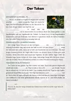 Vorschau - Arbeitsblätter - Tukan Steckbrief – Lesetext, Lückentext, Weltkarte & Arbeitsblatt - Seite 2