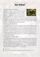 Vorschau - Arbeitsblätter - Affen & Primaten – 15 Tier-Steckbriefe – Sachunterricht Grundschule – Materialpaket - Seite 2