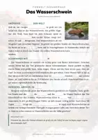 Vorschau - Arbeitsblätter - Wasserschwein Steckbrief – Lesetext, Lückentext, Weltkarte & Arbeitsblatt - Seite 2