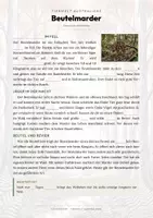 Vorschau - Arbeitsblätter - Beutelmarder Steckbrief – Lesetext, Lückentext, Weltkarte & Arbeitsblatt - Seite 2