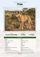 Vorschau - Arbeitsblätter - Sonderlinge Australiens – 9 Tier-Steckbriefe – Sachunterricht Grundschule – Materialpaket - Deckblatt