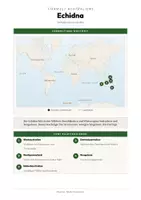 Vorschau - Arbeitsblätter - Inseltiere – Madagaskar, Galapagos & Neuseeland – 18 Tier-Steckbriefe – Sachunterricht Grundschule – Materialpaket - Seite 3