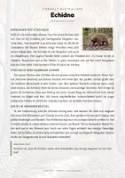 Vorschau - Arbeitsblätter - Inseltiere – Madagaskar, Galapagos & Neuseeland – 18 Tier-Steckbriefe – Sachunterricht Grundschule – Materialpaket - Seite 1