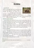 Vorschau - Arbeitsblätter - Inseltiere – Madagaskar, Galapagos & Neuseeland – 18 Tier-Steckbriefe – Sachunterricht Grundschule – Materialpaket - Seite 2