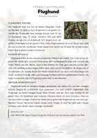 Vorschau - Arbeitsblätter - Flughund Steckbrief – Lesetext, Lückentext, Weltkarte & Arbeitsblatt - Seite 1