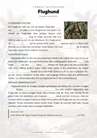 Vorschau - Arbeitsblätter - Flughund Steckbrief – Lesetext, Lückentext, Weltkarte & Arbeitsblatt - Seite 2