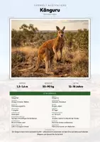 Vorschau - Arbeitsblätter - Die schnellsten Tiere der Welt – 13 Tier-Steckbriefe – Sachunterricht Grundschule – Materialpaket - Deckblatt