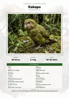 Vorschau - Arbeitsblätter - Kakapo Steckbrief – Lesetext, Lückentext, Weltkarte & Arbeitsblatt - Deckblatt