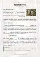 Vorschau - Arbeitsblätter - Kookaburra Steckbrief – Lesetext, Lückentext, Weltkarte & Arbeitsblatt - Seite 2