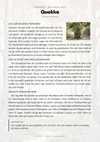 Vorschau - Arbeitsblätter - Quokka Steckbrief – Lesetext, Lückentext, Weltkarte & Arbeitsblatt - Seite 1