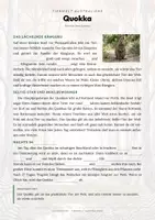 Vorschau - Arbeitsblätter - Quokka Steckbrief – Lesetext, Lückentext, Weltkarte & Arbeitsblatt - Seite 2