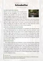 Vorschau - Arbeitsblätter - Schnabeltier Steckbrief – Lesetext, Lückentext, Weltkarte & Arbeitsblatt - Seite 1