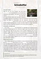 Vorschau - Arbeitsblätter - Schnabeltier Steckbrief – Lesetext, Lückentext, Weltkarte & Arbeitsblatt - Seite 2