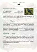 Vorschau - Arbeitsblätter - Tui Steckbrief – Lesetext, Lückentext, Weltkarte & Arbeitsblatt - Seite 2