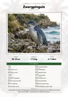 Vorschau - Arbeitsblätter - Zwergpinguin Steckbrief – Lesetext, Lückentext, Weltkarte & Arbeitsblatt - Deckblatt