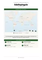 Vorschau - Arbeitsblätter - Adeliepinguin Steckbrief – Lesetext, Lückentext, Weltkarte & Arbeitsblatt - Seite 3