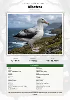 Vorschau - Arbeitsblätter - Albatros Steckbrief – Lesetext, Lückentext, Weltkarte & Arbeitsblatt - Deckblatt
