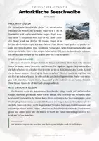 Vorschau - Arbeitsblätter - Antarktische Seeschwalbe Steckbrief – Lesetext, Lückentext, Weltkarte & Arbeitsblatt - Seite 1