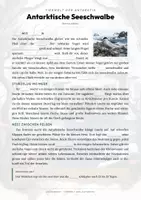 Vorschau - Arbeitsblätter - Antarktische Seeschwalbe Steckbrief – Lesetext, Lückentext, Weltkarte & Arbeitsblatt - Seite 2