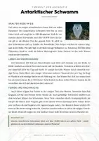 Vorschau - Arbeitsblätter - Antarktischer Schwamm Steckbrief – Lesetext, Lückentext, Weltkarte & Arbeitsblatt - Seite 1