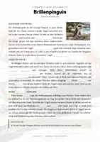 Vorschau - Arbeitsblätter - Brillenpinguin Steckbrief – Lesetext, Lückentext, Weltkarte & Arbeitsblatt - Seite 2