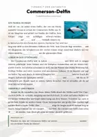 Vorschau - Arbeitsblätter - Commerson-Delfin Steckbrief – Lesetext, Lückentext, Weltkarte & Arbeitsblatt - Seite 2