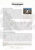 Vorschau - Arbeitsblätter - Felsenpinguin Steckbrief – Lesetext, Lückentext, Weltkarte & Arbeitsblatt - Seite 1