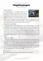 Vorschau - Arbeitsblätter - Magellanpinguin Steckbrief – Lesetext, Lückentext, Weltkarte & Arbeitsblatt - Seite 1