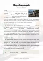 Vorschau - Arbeitsblätter - Magellanpinguin Steckbrief – Lesetext, Lückentext, Weltkarte & Arbeitsblatt - Seite 2